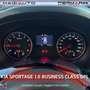 Kia Sportage Sportage 1.6 ECOGPL 2WD Business Class Bianco - thumbnail 12