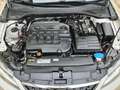 SEAT Leon ST 1.6TDI CR S&S Reference 115 Blanco - thumbnail 31