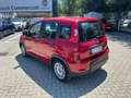 Fiat Panda Panda 1.0 FireFly S&S Hybrid Rosso - thumbnail 6