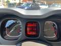 Fiat Panda Panda 1.0 FireFly S&S Hybrid Rosso - thumbnail 17