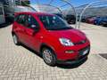 Fiat Panda Panda 1.0 FireFly S&S Hybrid Rosso - thumbnail 3