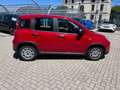 Fiat Panda Panda 1.0 FireFly S&S Hybrid Rosso - thumbnail 5