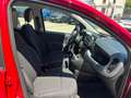 Fiat Panda Panda 1.0 FireFly S&S Hybrid Rosso - thumbnail 10