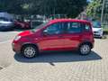 Fiat Panda Panda 1.0 FireFly S&S Hybrid Rosso - thumbnail 4