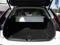 Volvo XC60 B4 Plus Dark 2WD SHZ AHK FACEL. LED PANO Weiß - thumbnail 8