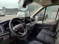 Ford Transit Transit Kasten DoKa 2,0 EcoBlue L2H2 350 Trend Weiß - thumbnail 12