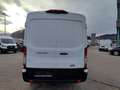 Ford Transit Transit Kasten DoKa 2,0 EcoBlue L2H2 350 Trend Weiß - thumbnail 4