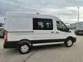 Ford Transit Transit Kasten DoKa 2,0 EcoBlue L2H2 350 Trend Weiß - thumbnail 6