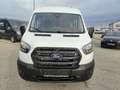 Ford Transit Transit Kasten DoKa 2,0 EcoBlue L2H2 350 Trend Weiß - thumbnail 8