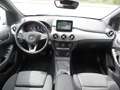 Mercedes-Benz B 200 CDI Navi*AHK*Automatik*SZH*Kamera White - thumbnail 14