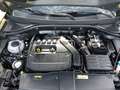 Volkswagen T-Roc 1.5 TSI Advance DSG7 Amarillo - thumbnail 24