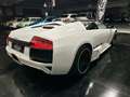 Lamborghini Murciélago Murcielago Roadster 6.5 LP 640 e-gear White - thumbnail 6