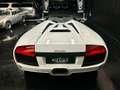 Lamborghini Murciélago Murcielago Roadster 6.5 LP 640 e-gear White - thumbnail 8