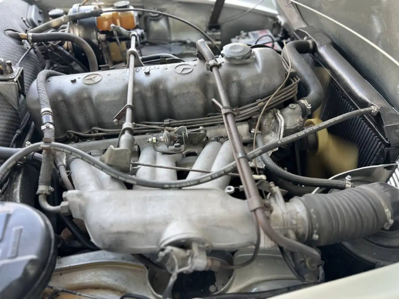 Mercedes-Benz SL 230 Pagoda, foto 12