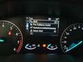 Ford EcoSport Titanium BLIS LED KAMERA SHZ ALU NEUWAG Plateado - thumbnail 13