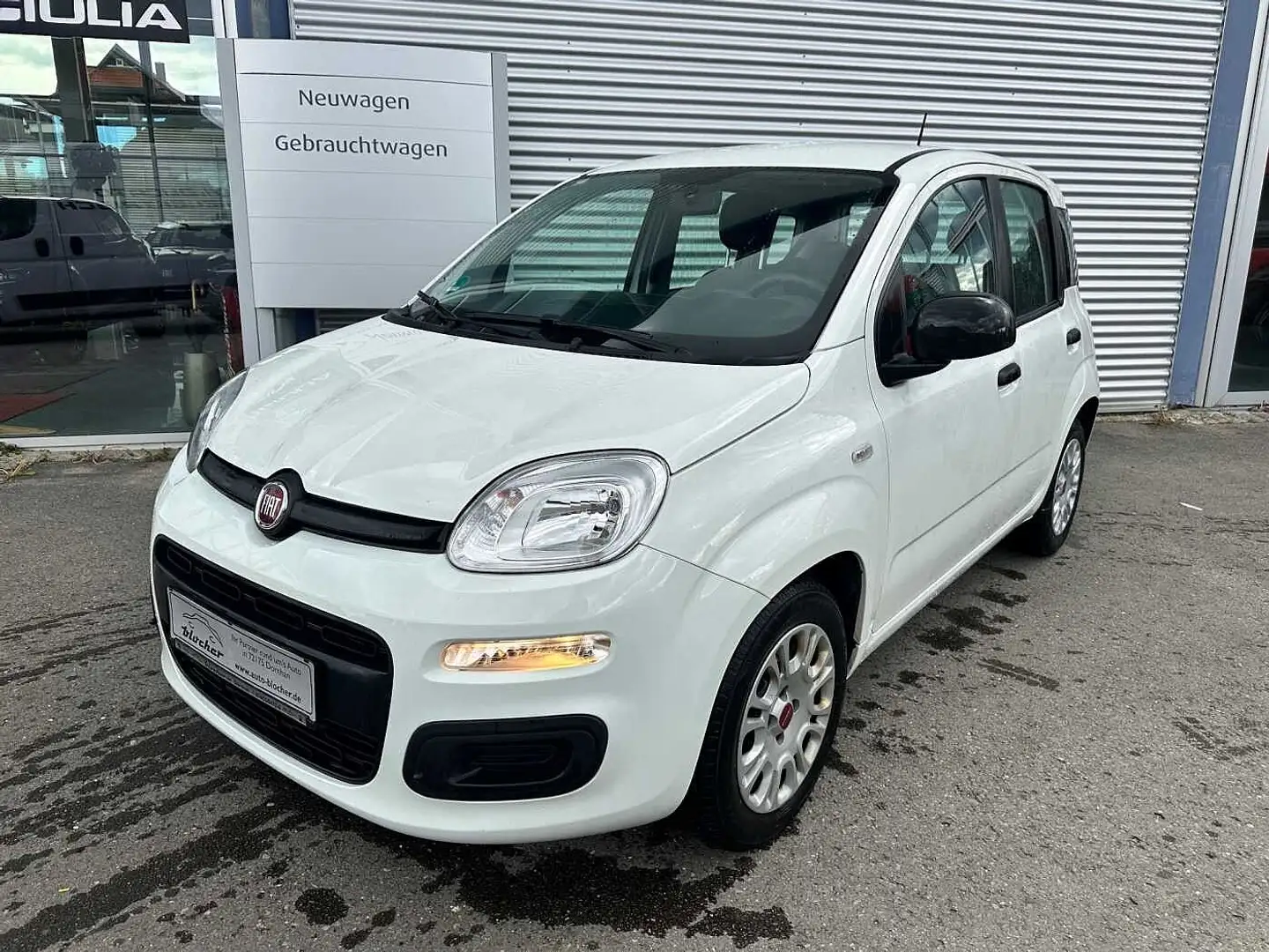 Fiat Panda /Pandina Panda 1.0 GSE Hybrid Білий - 1