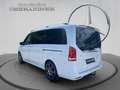 Mercedes-Benz V 300 d 4MATIC AVANTGARDE Lang LED AMG Sitzklima - thumbnail 12