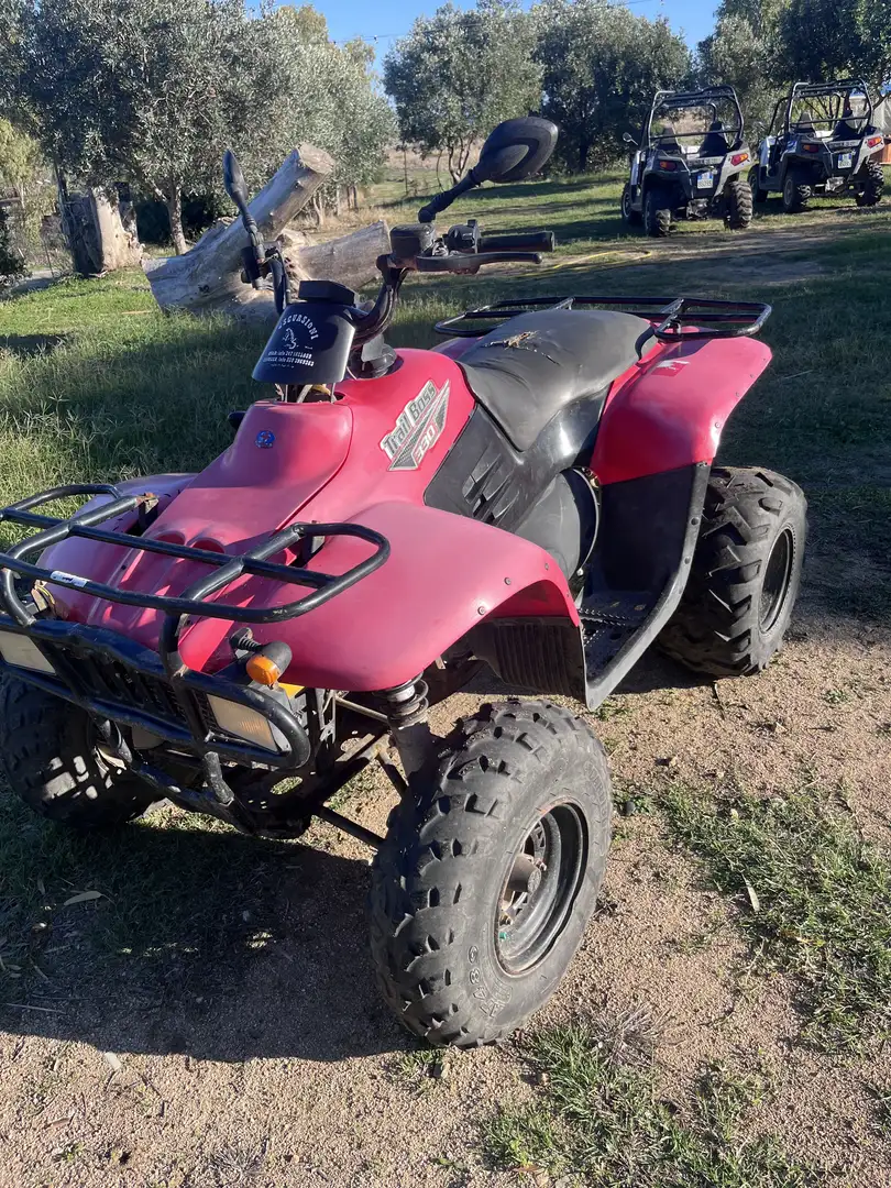 Polaris Trail Boss 330 - 2