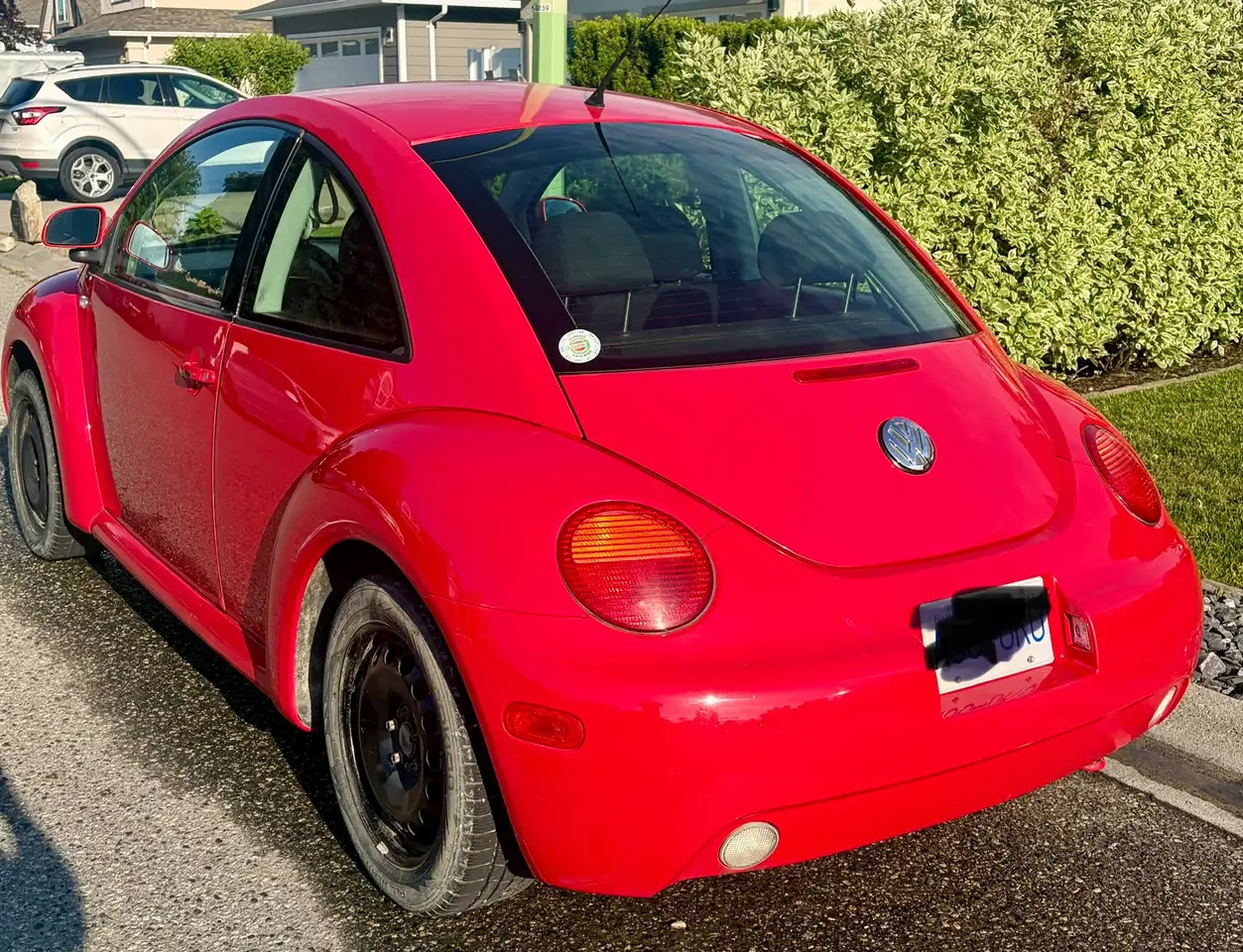 Volkswagen Beetle photo Volkswagen Beetle