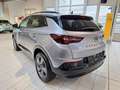 Opel Grandland GS Line 1.5 D inkl. Inspektion BigDeal Grijs - thumbnail 26