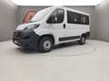Fiat Ducato DUCATO 30 2.3 MJT 140CV  PANORAMA CH1 9POSTI Bianco - thumbnail 1