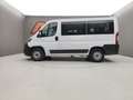 Fiat Ducato DUCATO 30 2.3 MJT 140CV  PANORAMA CH1 9POSTI Bianco - thumbnail 5