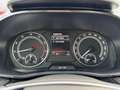 Skoda Fabia IV 1.0 TSI STYLE+COLOUR-CONCEPT+ACC-TEMPOMAT+LED+K Grau - thumbnail 24