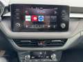 Skoda Fabia IV 1.0 TSI STYLE+COLOUR-CONCEPT+ACC-TEMPOMAT+LED+K Grau - thumbnail 14