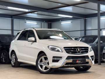 CDI BlueTec AMG*AHK*SITZ*AIR