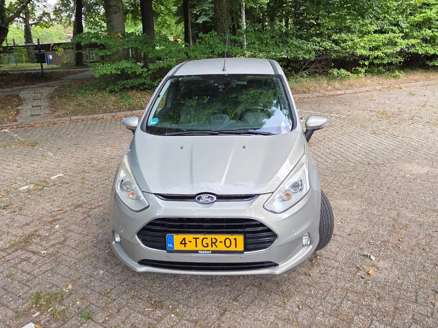 Ford B-Max B-Max 1.0 EcoB. Titanium Grijs - 2