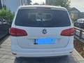Volkswagen Sharan Sharan Comfortline BMT 2,0 TDI DPF Comfortline Weiß - thumbnail 3