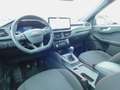 Ford Kuga ST-Line Grün - thumbnail 9