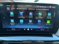 BMW X1 20 d sDrive M Sport Blanco - thumbnail 22