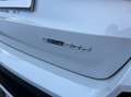BMW X1 20 d sDrive M Sport Blanco - thumbnail 19