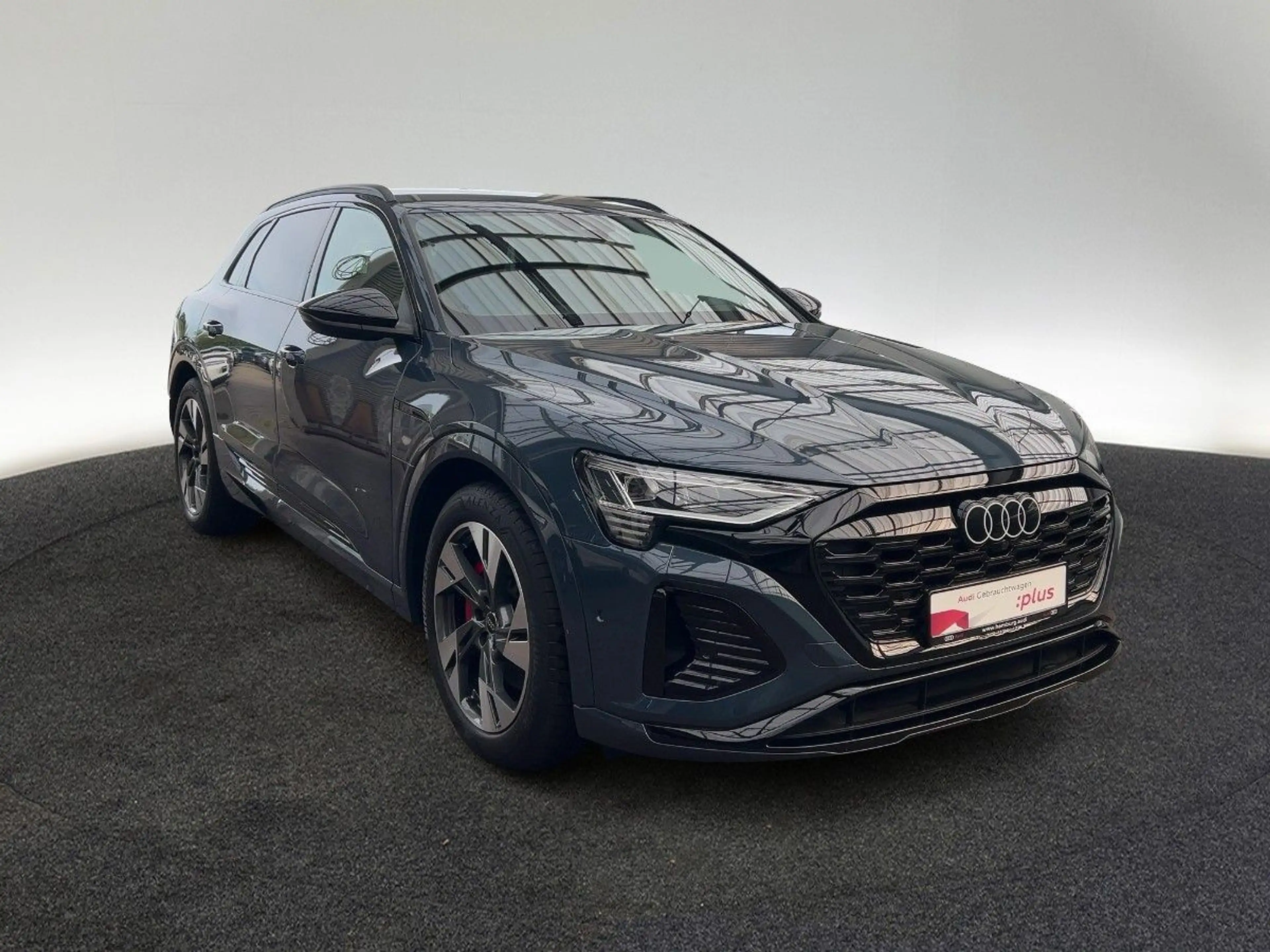 Audi Q8 e-tron 50 S line quattro Matrix Head-up Kamer — photo 6
