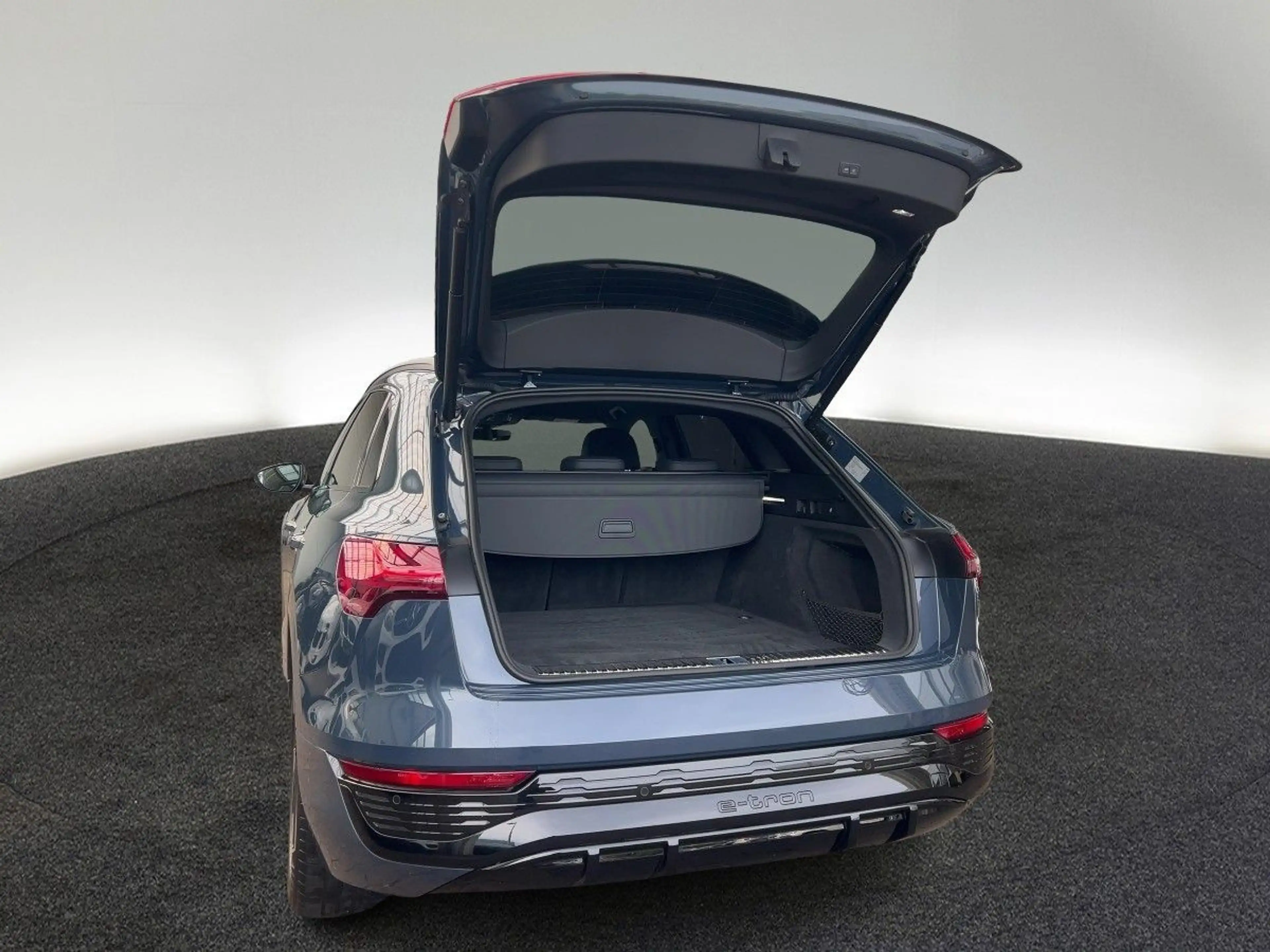 Audi Q8 e-tron 50 S line quattro Matrix Head-up Kamer — photo 10