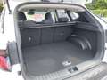 Hyundai TUCSON Tucson NX4 Smart Line 1,6 T-GDi 2WD t5bs1-P3 Weiß - thumbnail 9