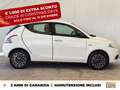 Lancia Ypsilon 1.2 monogram gpl 69cv GPL Alb - thumbnail 6