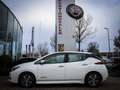 Nissan Leaf Acenta 40 kWh **ONTVANG NU € 2000,- SUBSIDIE** . Wit - thumbnail 18