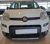 Fiat Panda Panda 4x4 0.9 t.air t. Wild Blanc - thumbnail 2