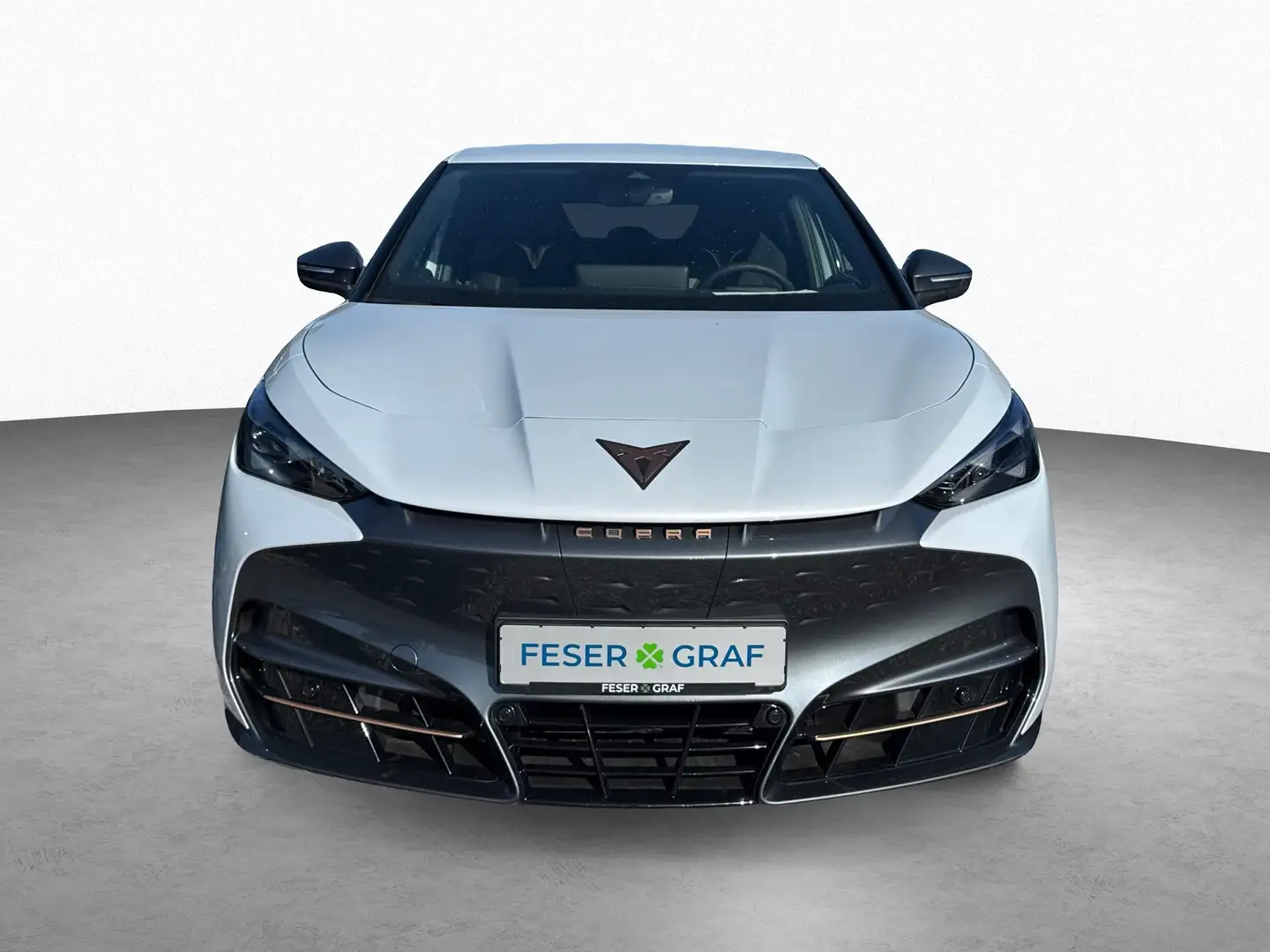 CUPRA Tavascan Endurance Ganzjahresreifen Blanco - 2