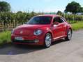 Volkswagen Beetle The Beetle The 1.2 TSI Design Rouge - thumbnail 1