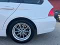 BMW 318 d Touring 2.0 Futura 143cv FL PELLE UNIPRO White - thumbnail 11