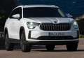 Skoda Kodiaq 1.5TSI m-HEV Selection 4x2 DSG 110kW Blanco - thumbnail 14
