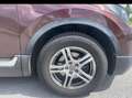 Honda CR-V Braun - thumbnail 2