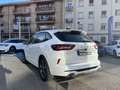 Ford Kuga 2.5 Duratec PHEV ST-Line 4x2 Blanco - thumbnail 6