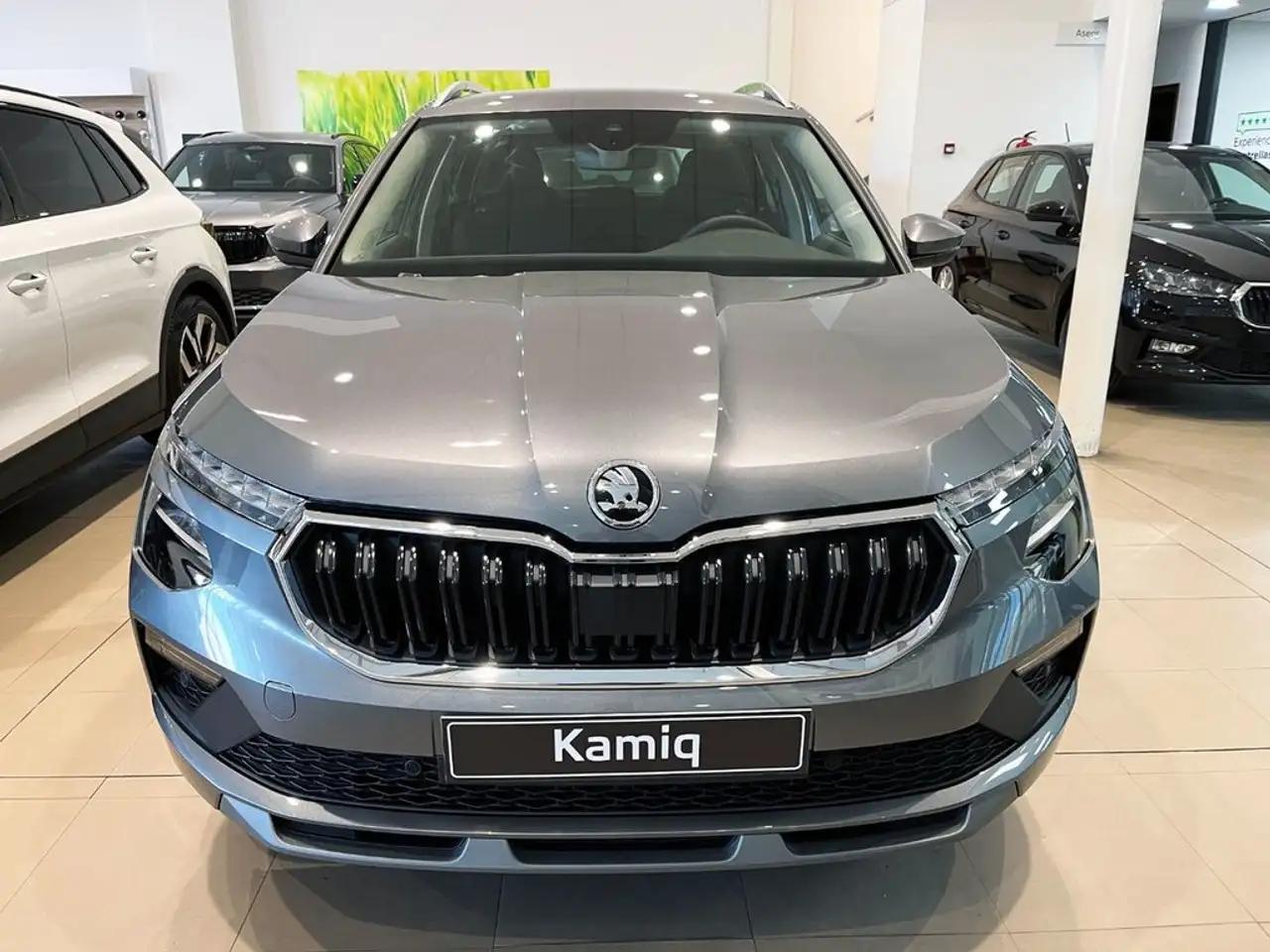 Skoda Kamiq 2026