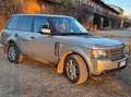 Land Rover Range Rover Range Rover 3.6 tdV8 Vogue auto Oro - thumbnail 8