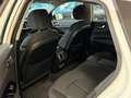 Kia Optima Optima 1.7 crdi Class 141cv dct Bianco - thumbnail 12