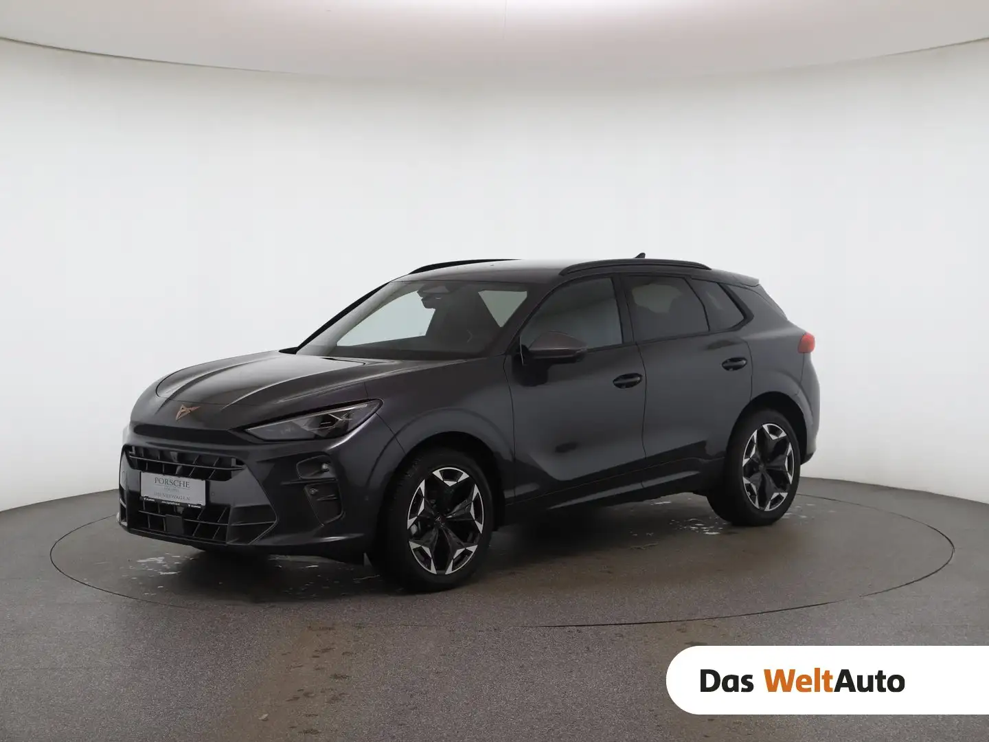 CUPRA Terramar 1.5 e-TSI 150 PS DSG Grau - 1